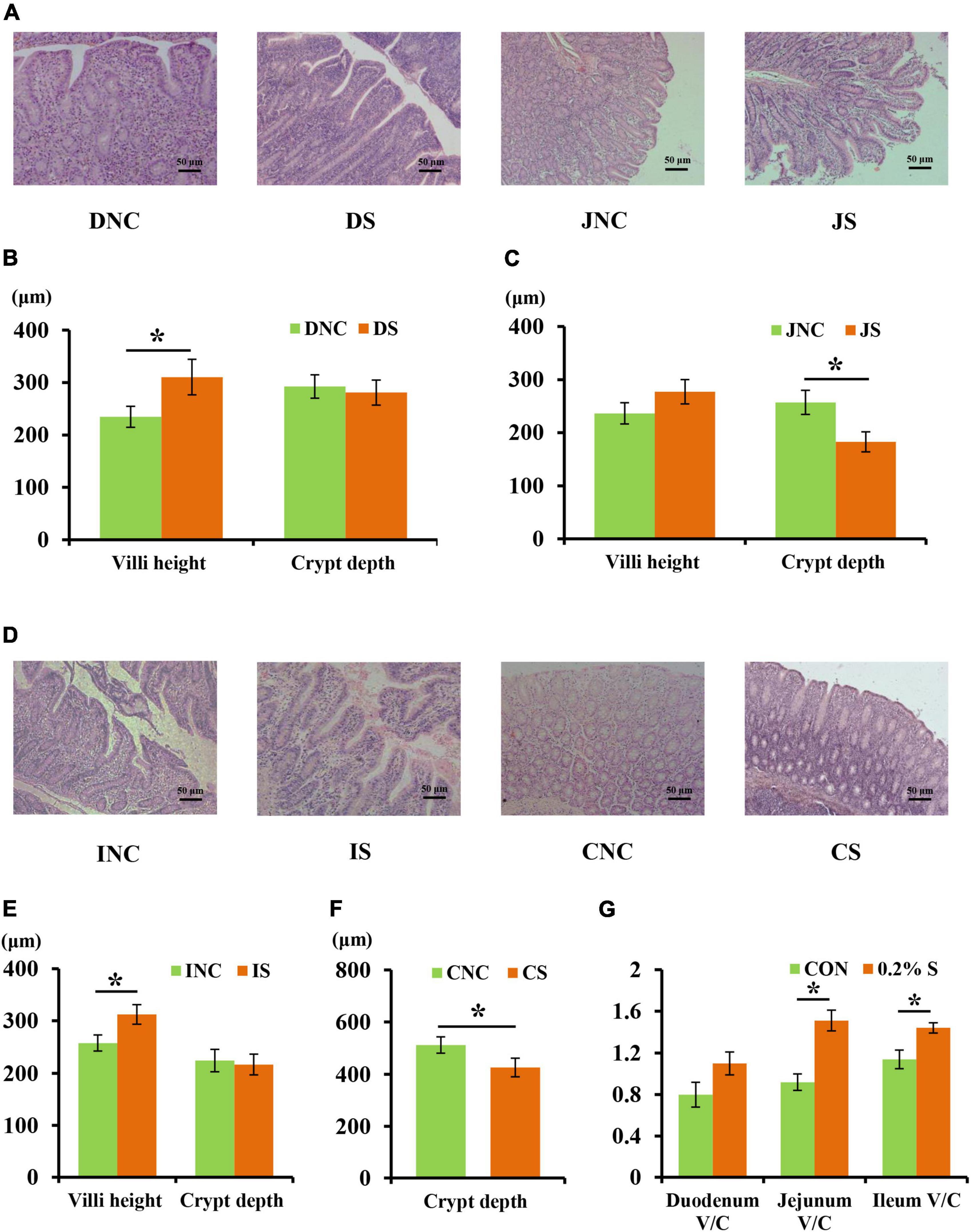 Impacts of sodium butyrate on intestinal mucosal barrier and intestinal microbial community in a weaned piglet model